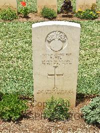 Medjez-El-Bab War Cemetery - Pye, Harry