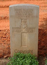 Medjez-El-Bab War Cemetery - Raddon, Albert John