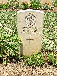 Medjez-El-Bab War Cemetery - Rawlings, Edward Frank