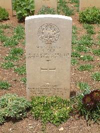 Medjez-El-Bab War Cemetery - Rice, Arthur