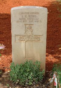 Medjez-El-Bab War Cemetery - Ridel, Joseph Henry