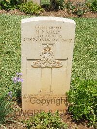 Medjez-El-Bab War Cemetery - Rielly, Patrick Hugh