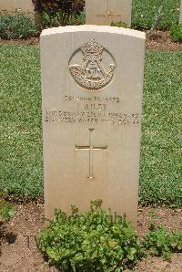 Medjez-El-Bab War Cemetery - Riley, Joseph