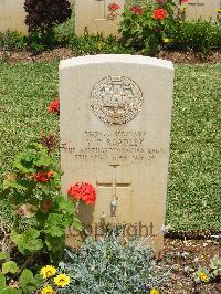 Medjez-El-Bab War Cemetery - Roadley, Vernon Philip