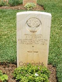 Medjez-El-Bab War Cemetery - Robb, John Osmond Scott