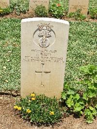 Medjez-El-Bab War Cemetery - Rodin, Jack