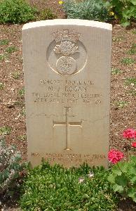 Medjez-El-Bab War Cemetery - Rogan, Michael John