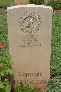 Medjez-El-Bab War Cemetery - Segal, David