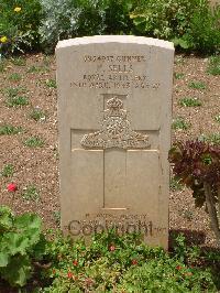 Medjez-El-Bab War Cemetery - Sells, Harold