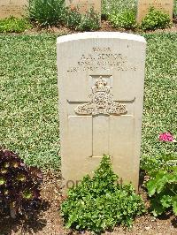 Medjez-El-Bab War Cemetery - Senior, Albert Roger