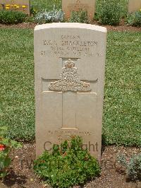 Medjez-El-Bab War Cemetery - Shackleton, Bryan Cecil Rickards