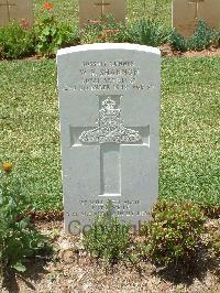 Medjez-El-Bab War Cemetery - Shannon, William Edward