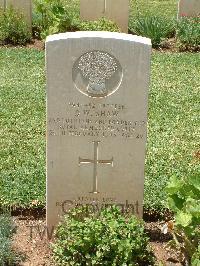 Medjez-El-Bab War Cemetery - Shaw, Donald Wilson