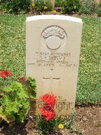 Medjez-El-Bab War Cemetery - Shelley, Alfred Frederick