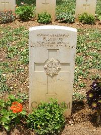 Medjez-El-Bab War Cemetery - Shipley, William