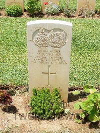 Medjez-El-Bab War Cemetery - Shotter, William George