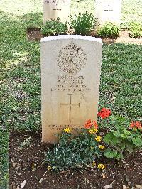 Medjez-El-Bab War Cemetery - Sneddon, Andrew