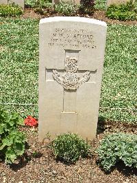 Medjez-El-Bab War Cemetery - Stafford, Herbert William