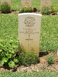 Medjez-El-Bab War Cemetery - Steel, David