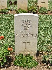 Medjez-El-Bab War Cemetery - Steel, William C.