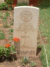 Medjez-El-Bab War Cemetery - Stroud, William Earl