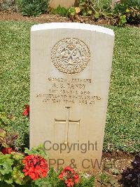 Medjez-El-Bab War Cemetery - Tandy, Alfred Benjamin