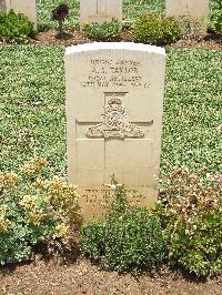 Medjez-El-Bab War Cemetery - Taylor, Arthur Stanley