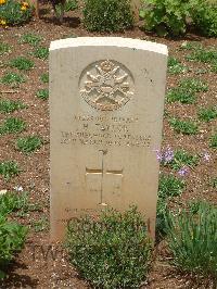 Medjez-El-Bab War Cemetery - Taylor, Harold