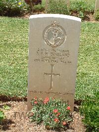 Medjez-El-Bab War Cemetery - Toseland, Ronald Frederick William