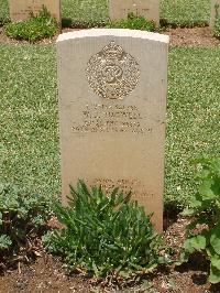 Medjez-El-Bab War Cemetery - Tugwell, William John