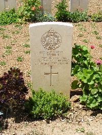 Medjez-El-Bab War Cemetery - Vender, Israel