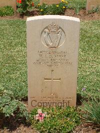 Medjez-El-Bab War Cemetery - Viney, Walter John Henry