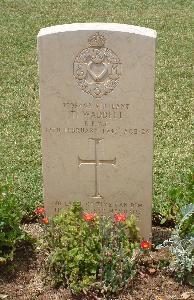 Medjez-El-Bab War Cemetery - Waddell, Thomas