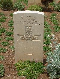 Medjez-El-Bab War Cemetery - Walker, Albert