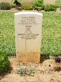 Medjez-El-Bab War Cemetery - Walker, Charles Edward