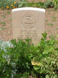 Medjez-El-Bab War Cemetery - Walker, Walter Joseph