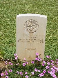 Medjez-El-Bab War Cemetery - Ward, Frederick