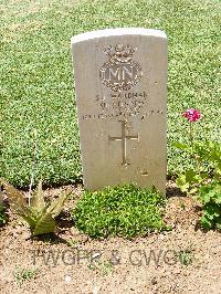 Medjez-El-Bab War Cemetery - Wardman, Stephen John