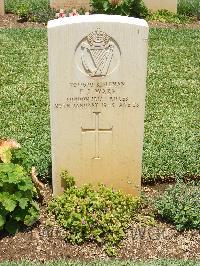 Medjez-El-Bab War Cemetery - Ware, Frank John