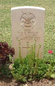 Medjez-El-Bab War Cemetery - Watson, Wesley Robert Haughton