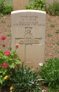 Medjez-El-Bab War Cemetery - Webb, William Thomas