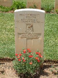 Medjez-El-Bab War Cemetery - Webster, Thomas