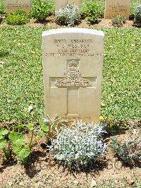 Medjez-El-Bab War Cemetery - Westney, Vernon Charles