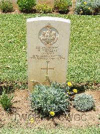 Medjez-El-Bab War Cemetery - Whalley, Kenneth