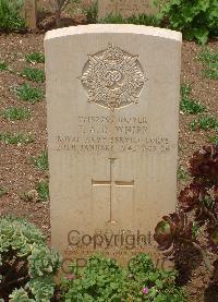 Medjez-El-Bab War Cemetery - Whipp, Terence Albert David