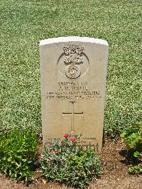 Medjez-El-Bab War Cemetery - White, James William