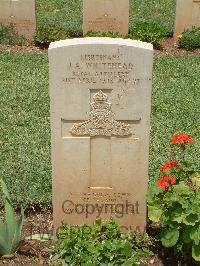 Medjez-El-Bab War Cemetery - Whitehead, John Allan