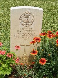 Medjez-El-Bab War Cemetery - Whitney, Harold Marshall