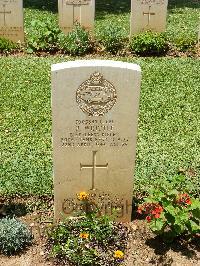 Medjez-El-Bab War Cemetery - Whittle, Ronald