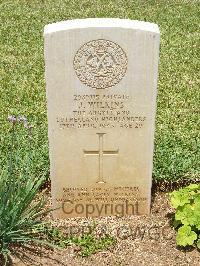 Medjez-El-Bab War Cemetery - Wilkins, James